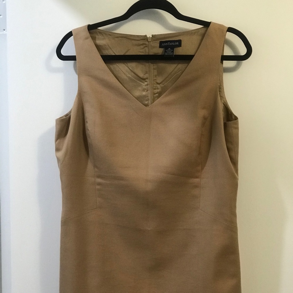 Ann Taylor Cotton/Silk Dress